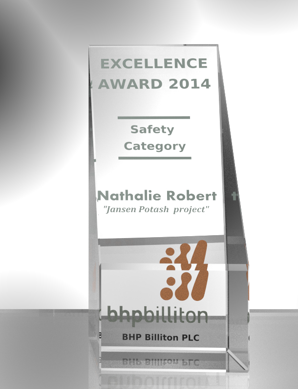 Excel-Tower Award (Safety)