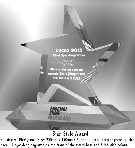 Star-Style Award (Business operation)